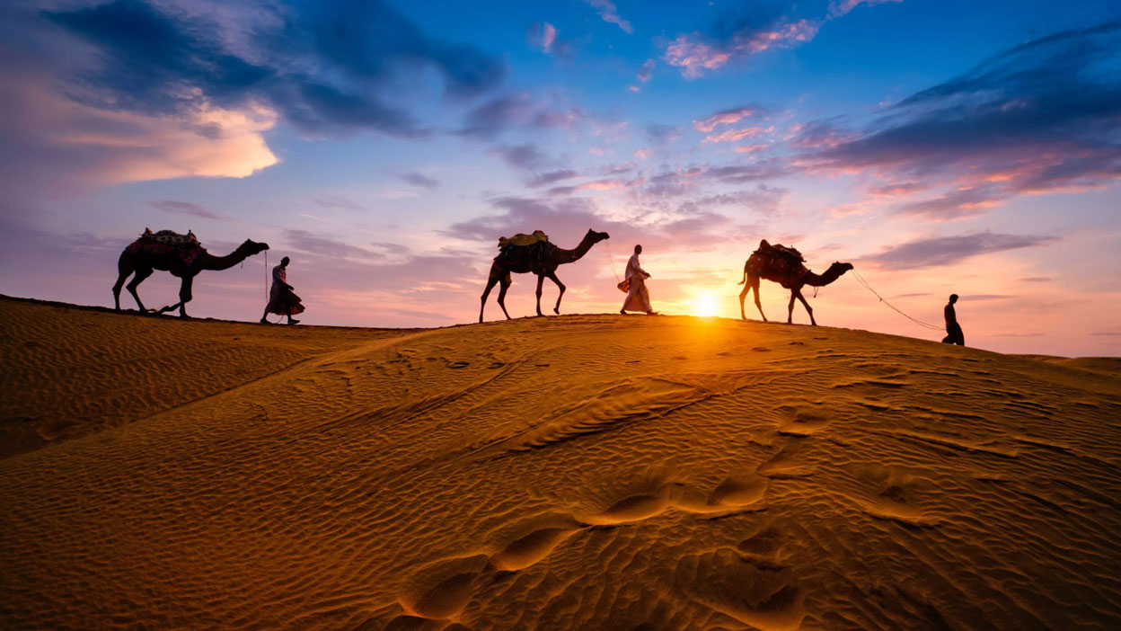 Rajasthan B2B Agency