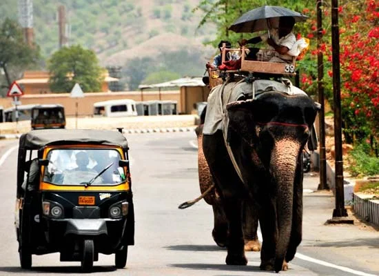 Private Full Day Jaipur City Tour By Tuk tuk
