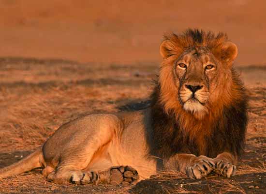 Exotic Gujarat Tour Package